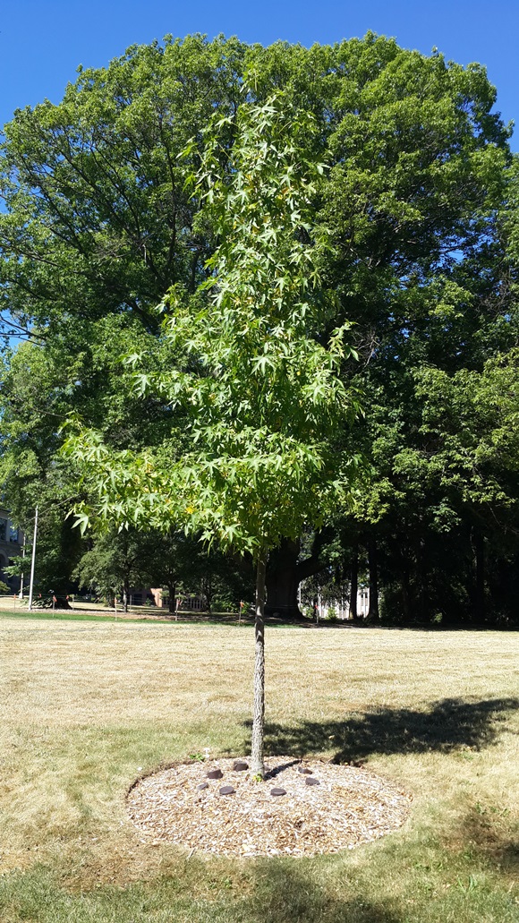 1408514882_140820150802.jpg