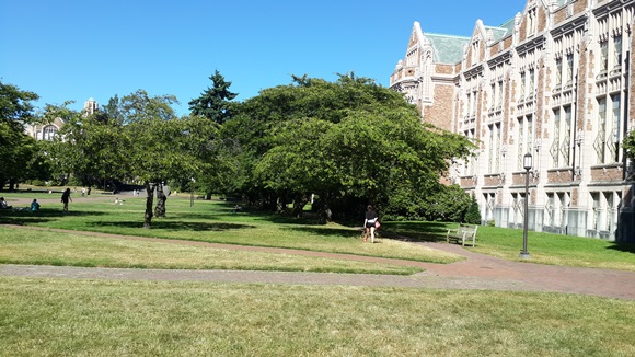 1408514900_140820150820.jpg