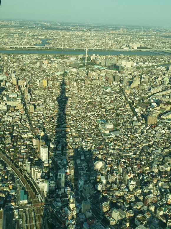 1414055712_141023181512.jpg