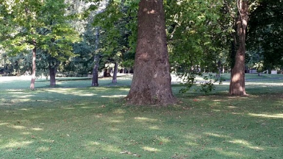 1437965979_150727115939.jpg