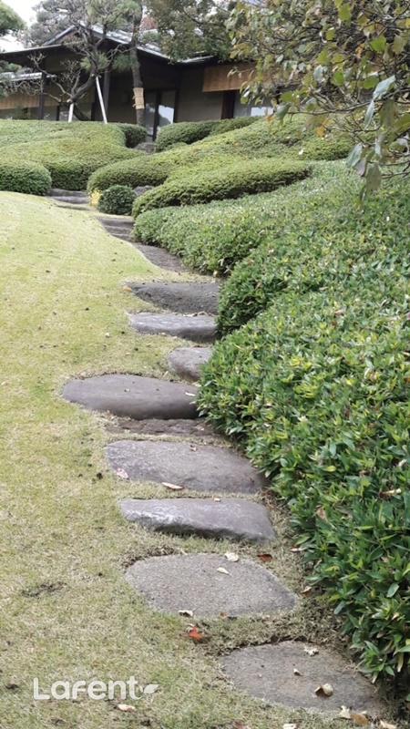 1480565591_161201131311.jpg