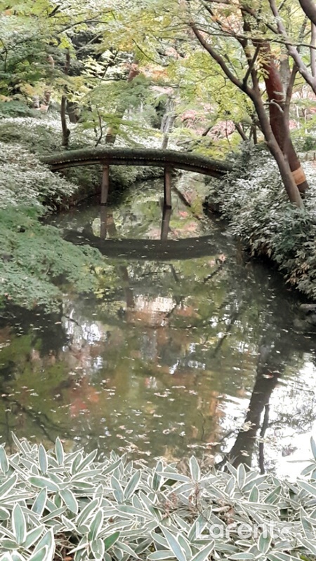 1481101774_161207180934.jpg