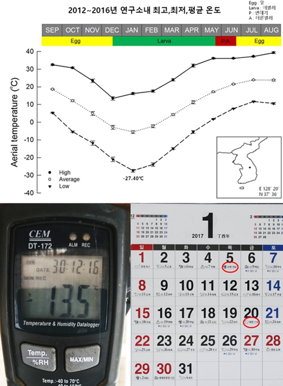 1485954485_170201220805.jpg