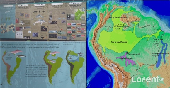 1500974714_170725182514.jpg