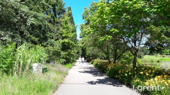 1505729126_170918190526.jpg