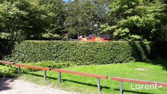 1506316869_170925142109.jpg