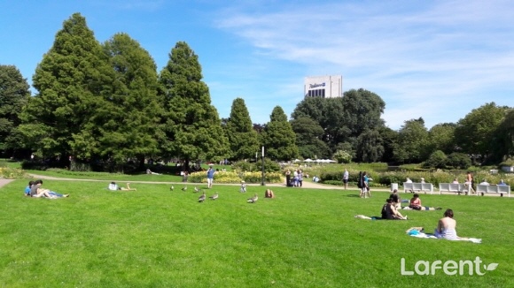 1506316878_170925142118.jpg