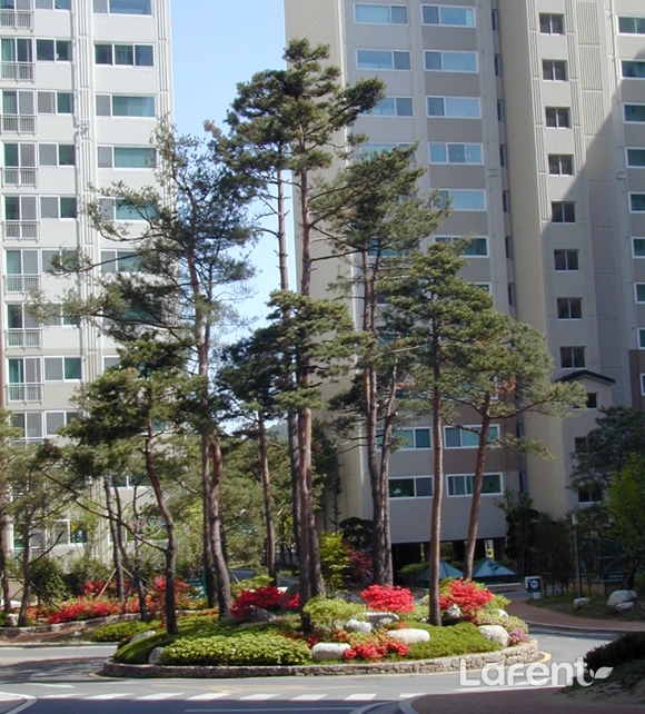 1507685546_171011103226.jpg