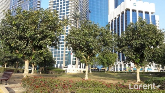 1519196613_180221160333.jpg