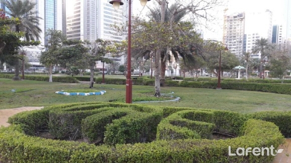 1519196816_180221160656.jpg