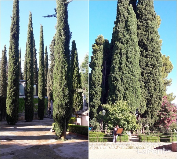 1539180926_181010231526.jpg