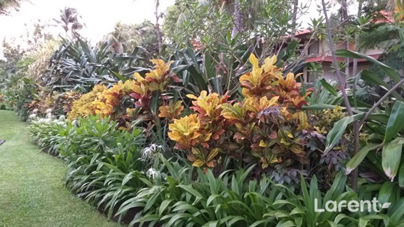 1547630943_190116182903.jpg