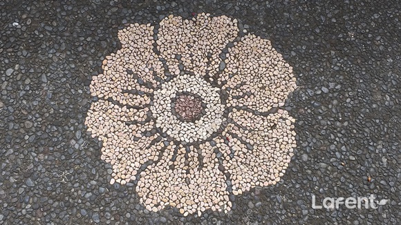 1548211246_190123114046.jpg