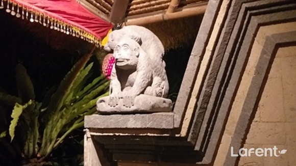 1550628821_190220111341.jpg