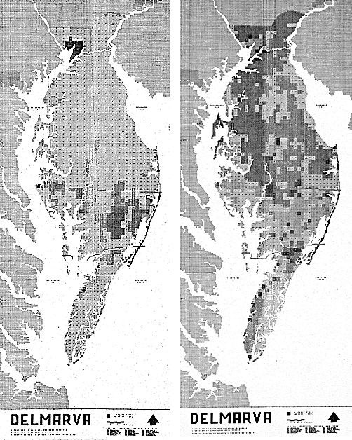 1558923489_190527111809.jpg