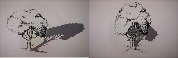1588059514_200428163834.jpg