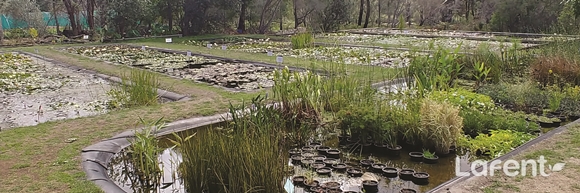 1589003106_200509144506.jpg