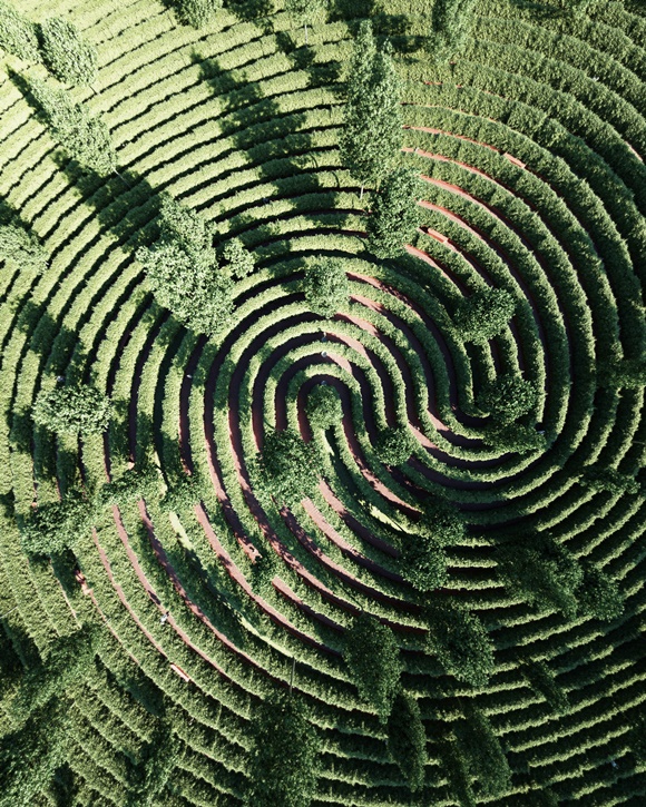 1592895924_200623160524.jpg