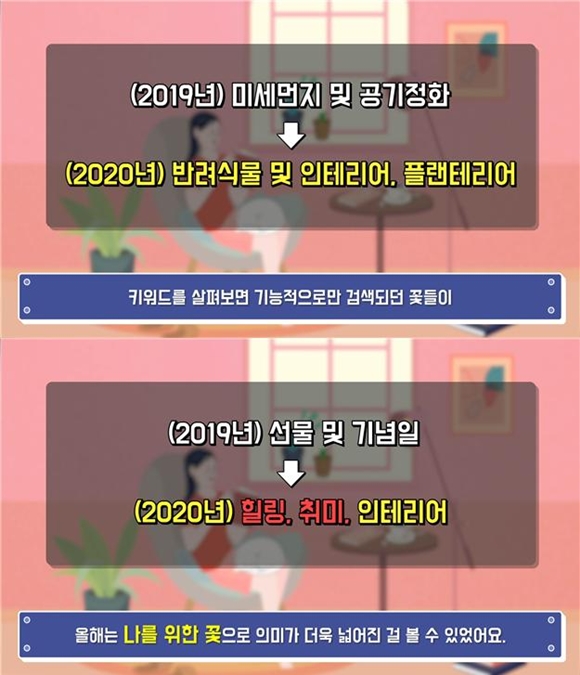 1608479374_201221004934.jpg