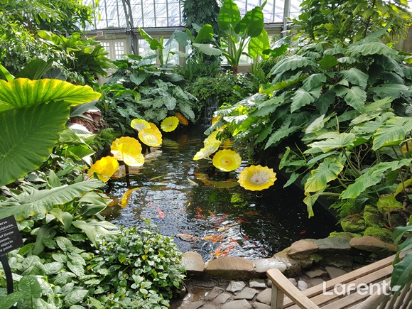 1610069256_210108102736.jpg