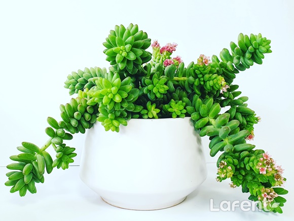 1620193592_210505144632.jpg