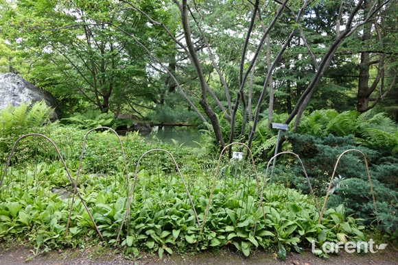 1635051424_211024135704.jpg