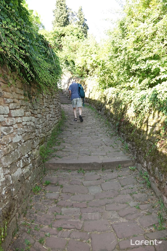 1656033090_220624101130.jpg
