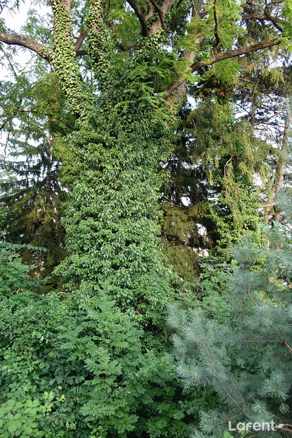 1662680790_220909084630.jpg
