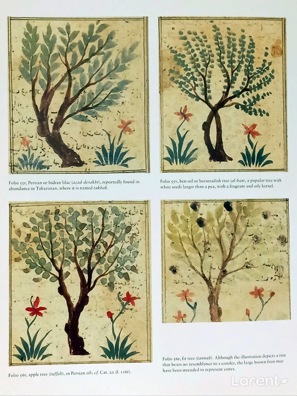 1686863720_230616061520.jpg
