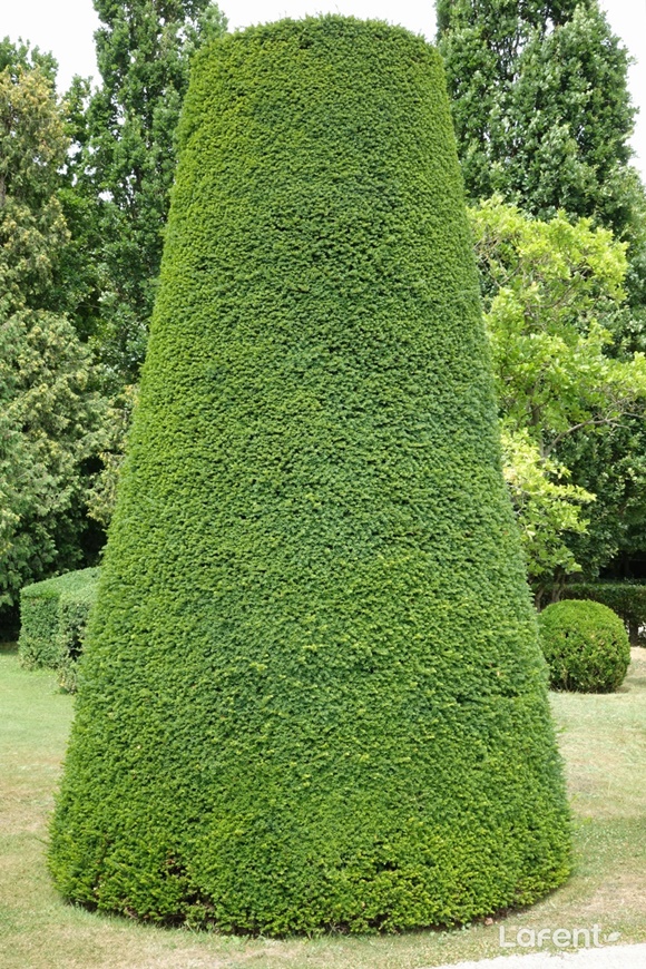 1689859331_230720222211.jpg