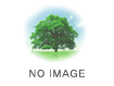no-images