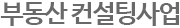 부동산 컨설팅사업