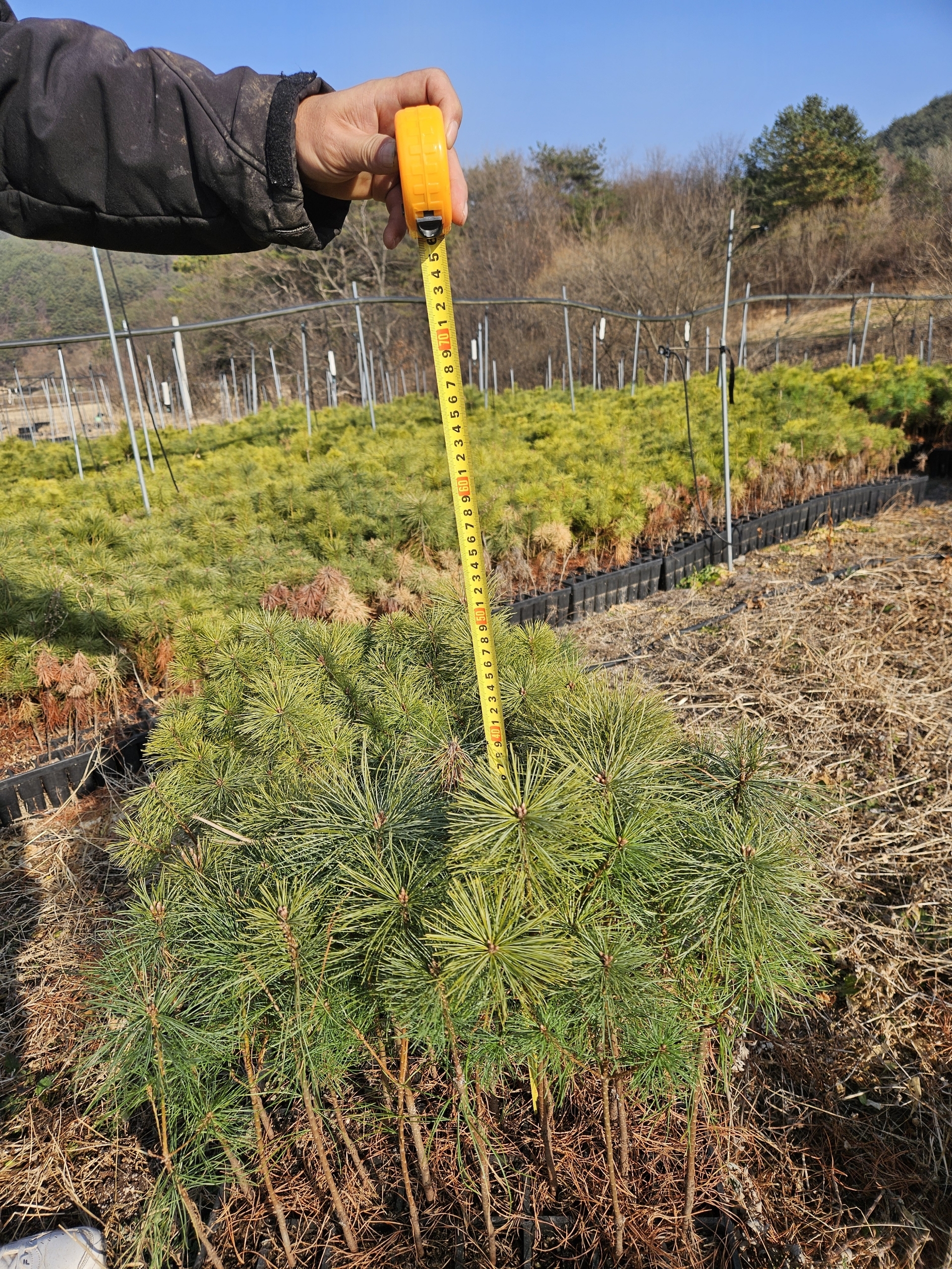 클릭하시면, 큰 사진을 보실 수 있습니다! 클릭하시면, 큰 사진을 보실 수 있습니다!